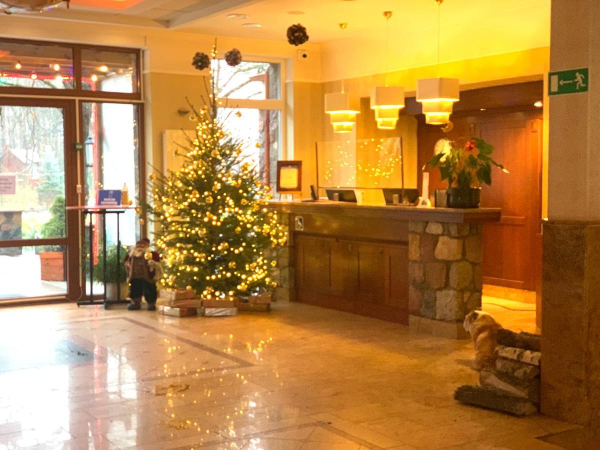 Hotel Albatros Serwy Eksteriør billede