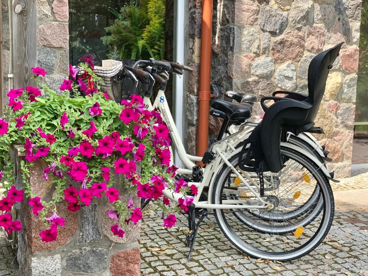 Hotel Albatros Serwy Eksteriør billede